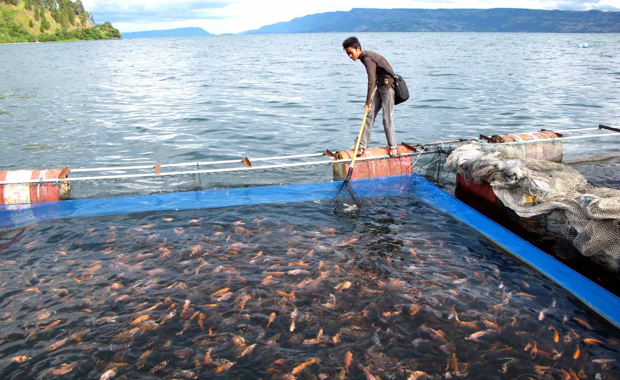 Menteri Kelautan Tinjau Proyek Budidaya Ikan di Maluku